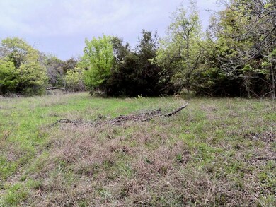 185 Lelon Ln, Springtown, TX 76082 - photo 5