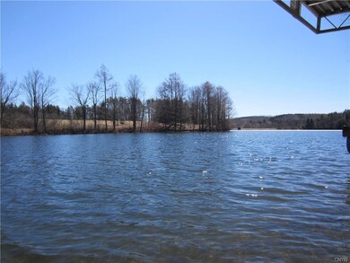 The views across the lake are all green - not a ro