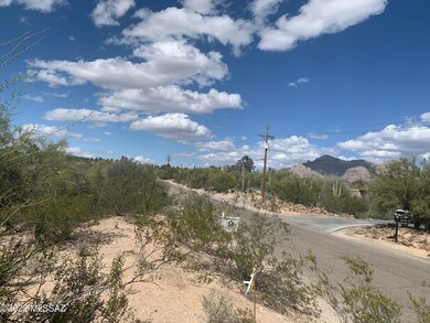 IMG_8455