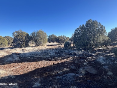 2036 Sitgreaves Ranch Rd, Show Low, AZ 85901 - photo 3