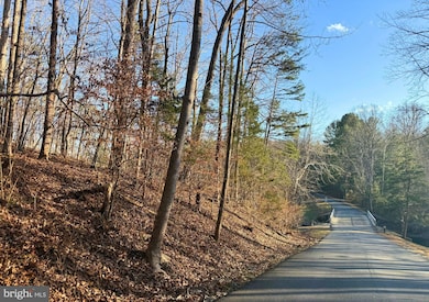 LOT 1244 N Lakeshore Dr, Louisa, VA 23093 - photo 3