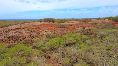 0 Hao Keehi Place unit 402032, Maunaloa, HI 96770 - photo 6