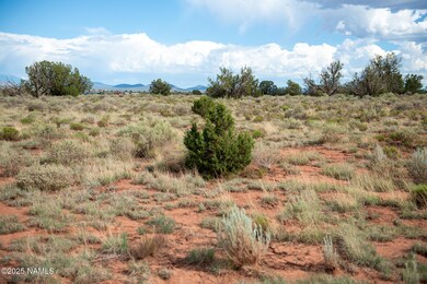 Juniper Tree
