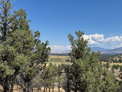 Unit 9-1 Lot 32 Palomino Rd unit 9-1, Lake Shastina, CA 96094 - photo 4