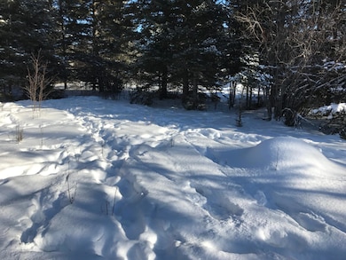 Sec: 2 TWP: 61.0 RG:, Alango Township, MN 55703 - photo 7