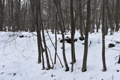 Lot 725 Locust Dr, Dingman Township, PA 18337 - photo 4