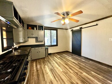 14859 U S 52, Mount Carroll, IL 61053 - photo 5