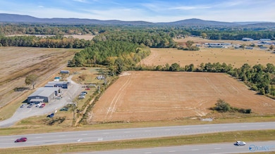 3 acres Highway 431 S, Owens Cross Roads, AL 35760 - photo 2