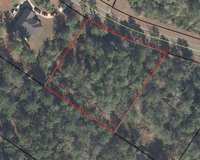 110 Bluebill Trail, Brunswick, GA 31523 - photo 2