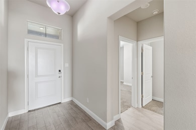 249 Irish Moss Dr, Haslet, TX 76052 - photo 3