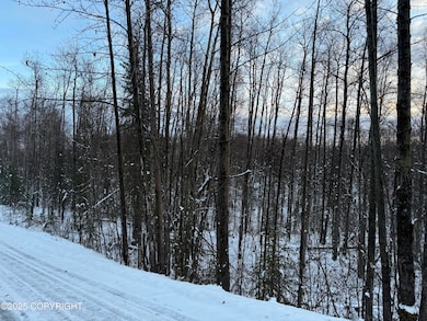 16486 E Barge Dr, Talkeetna, AK 99676 - photo 6