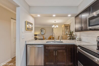 756 Prescott Dr unit 211, Roselle, IL 60172 - photo 5