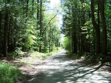 77 Scott Pond Rd, Fitzwilliam, NH 03447 - photo 3