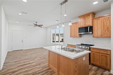 2104 E San Andrea St, Edinburg, TX 78542 - photo 4