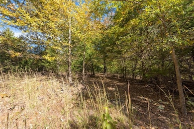 16898 Misty Wood Rd, West Fork, AR 72774 - photo 5