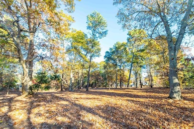 0 Shawanue Ave unit 32400336, Oak Bluffs, MA 02557 - photo 6