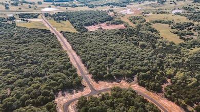 Bird's eye view of a forest