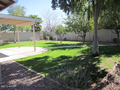 Back yard
