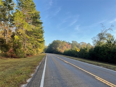 000 Hwy 92s E, Spurger, TX 77660 - photo 4