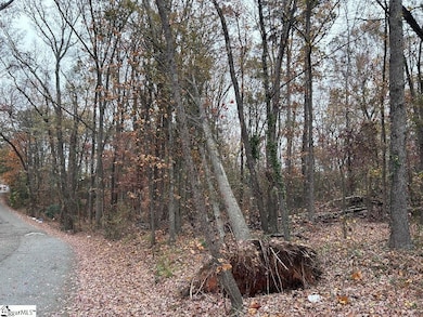 11 Pleasant Grove St, Welcome, SC 29611 - photo 2