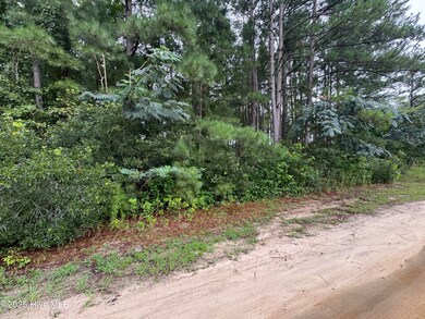 24 Sapling Ln, Cameron, NC 28326 - photo 2