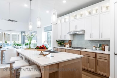 6329 Simone Ave, McKinney, TX 75071 - photo 2