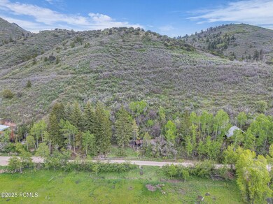 19-web-or-mls-1442-e-weber-wild-rd
