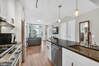 Peninsula 88 unit 313, Washington, DC 20024 - photo 4