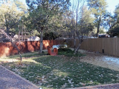 Part of Back Yard