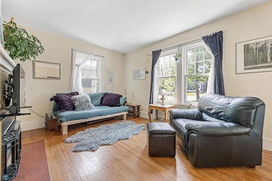 Living room - newer vinyl windows