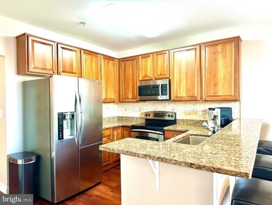 5930 Great Star Dr unit 402, Clarksville, MD 21029 - photo 7