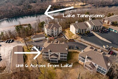 Aerial Lake Taneycomo
