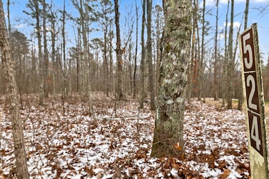 0 Twilight Trail, Dunlap, TN 37327 - photo 2