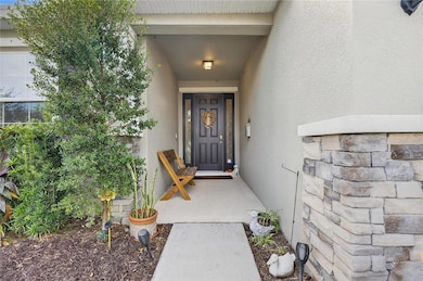 5028 Jackel Chase Dr, Wimauma, FL 33598 - photo 7