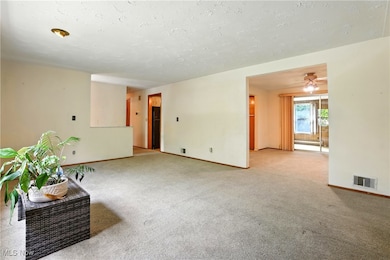 110 Shipherd Cir, Oberlin, OH 44074 - photo 4