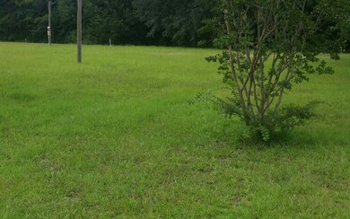 unlisted-address, Lake City, FL 32025 - photo 3