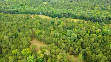 1708 Round Oak Juliette Rd, Juliette, GA 31046 - photo 2