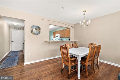 37494 Pettinaro Dr unit 8701, Ocean View, DE 19970 - photo 7