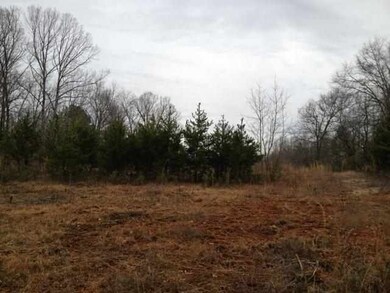 137 Country Junction Rd, West Union, SC 29696 - photo 3