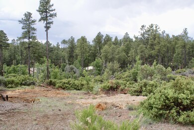 882 Geronimo Ln, Show Low, AZ 85901 - photo 6