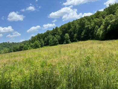 999 Big Barn Rd, Tyner, KY 40486 - photo 3