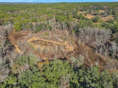 XX Gardners Farm Rd, Tallahassee, FL 32312 - photo 5