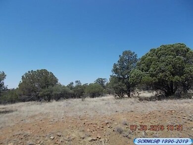 0 Wilmot Rd, Silver City, NM 88061 - photo 3