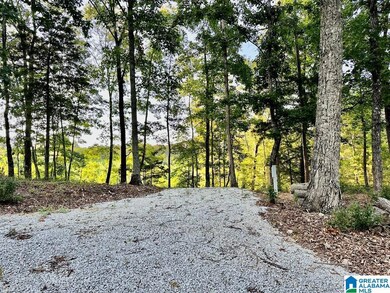 133 Lake Breeze Ln unit 3, Wedowee, AL 36278 - photo 2