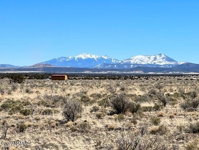IMG_2225