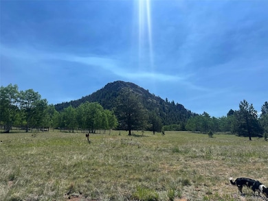 1965 Vagabond Creek Dr unit 9, Lake George, CO 80827 - photo 4