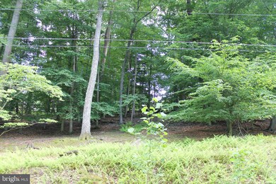 28 Cypress Trail, Carroll Valley, PA 17320 - photo 3