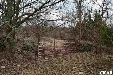 765 Old Dixville Rd, Harrodsburg, KY 40330 - photo 5