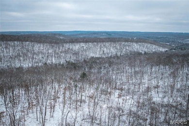 000 Click, Richwoods, MO 63071 - photo 2