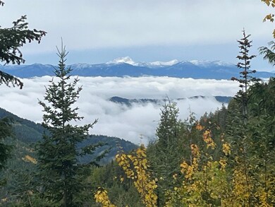 NKA Frisco Standard Rd, Colville, WA 99114 - photo 6